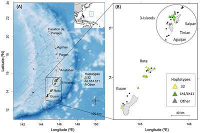 Evidence of a small, island-associated population of common bottlenose dolphins in the Mariana Islands